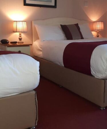 _room_double_single (1)